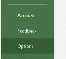 To access advanced options for working with Excel, choose Options from the File menu